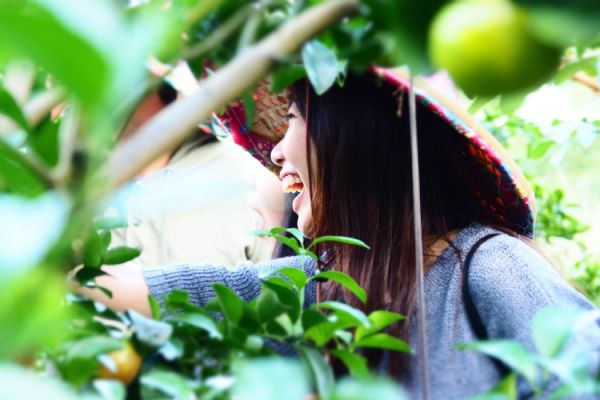 【宜蘭推薦】<font color=FF0000> 花果野食趣</font>農家宴