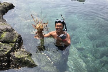 龍蝦島抓龍蝦